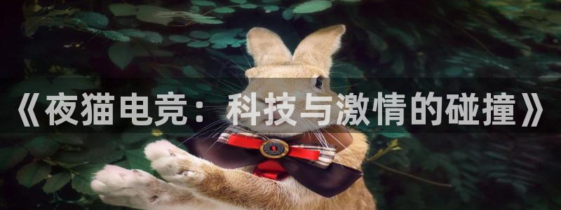 MK电竞官网：《夜猫电竞：科技与激情的碰撞》