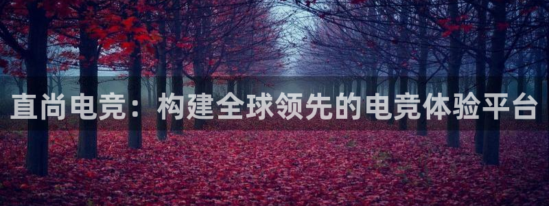 MK电竞官网：直尚电竞：构建全球领先的电竞体验平台