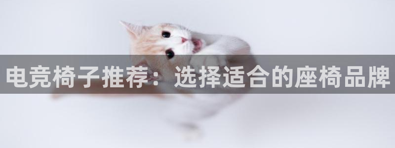 mk电子竞技：电竞椅子推荐：选择适合的座椅品牌