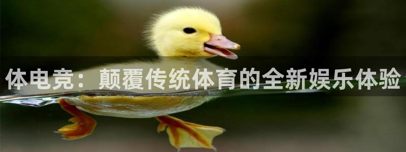 mk电子竞技：体电竞：颠覆传统体育的全新娱乐体验