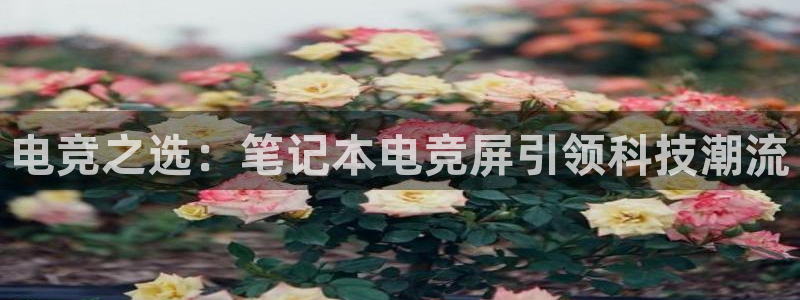 MK电竞官网：电竞之选：笔记本电竞屏引领科技潮流