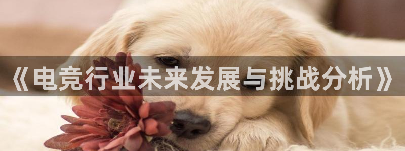 mk电子竞技：《电竞行业未来发展与挑战分析》