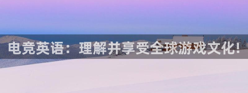 MK电竞：电竞英语：理解并享受全球游戏文化!