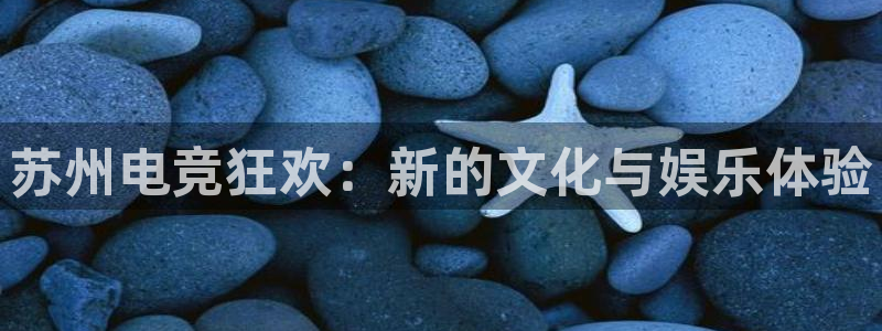 MK电竞官网：苏州电竞狂欢：新的文化与娱乐体验