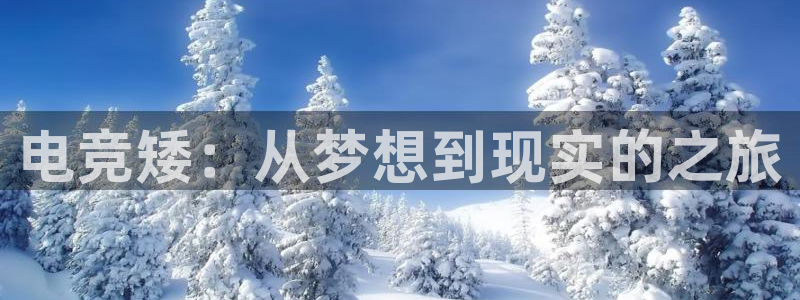 mk电子竞技：电竞矮：从梦想到现实的之旅